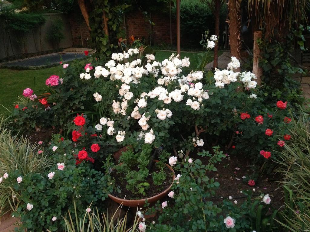 Anne'S Place Potchefstroom Ngoại thất bức ảnh